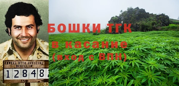 ПСИЛОЦИБИНОВЫЕ ГРИБЫ Балахна