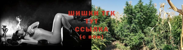 ПСИЛОЦИБИНОВЫЕ ГРИБЫ Балахна