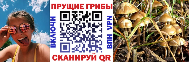Галлюциногенные грибы мухоморы  закладка  Горячеводский 